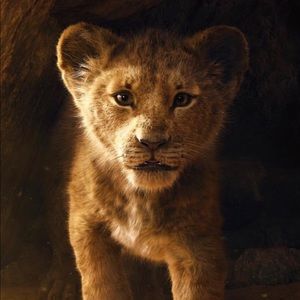 Meet your Posher, Justine